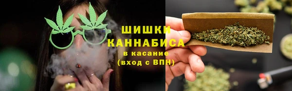 ГАЛЛЮЦИНОГЕННЫЕ ГРИБЫ Алзамай