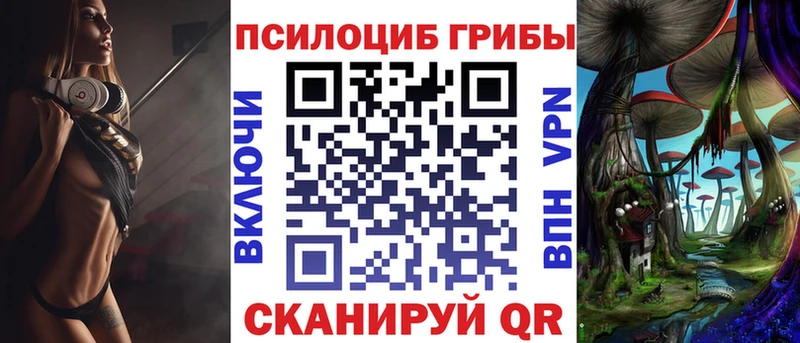 Галлюциногенные грибы Psilocybe  магазин продажи наркотиков  Инсар 